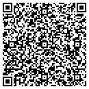 QR code with Precision Dental P C contacts