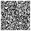 QR code with Purity Systems Inc contacts