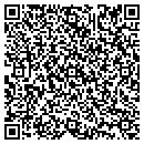 QR code with Cdi Infrastructure LLC contacts