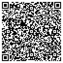 QR code with Cerberus Pyrotronics contacts