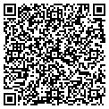 QR code with Pdscad contacts