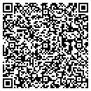 QR code with Project Life contacts