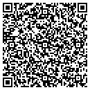 QR code with Constructive Linework contacts