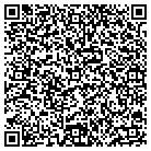 QR code with Blu Phi Solutions contacts