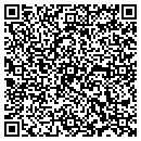 QR code with Clarke Power Service contacts