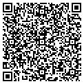 QR code with Megadent Inc contacts