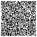 QR code with Precision Dental LLC contacts