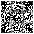 QR code with Punxsy Auto Wrecking contacts