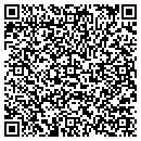 QR code with Print-O-Stat contacts