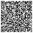 QR code with Pumping Solutions Inc contacts