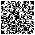 QR code with T Dark contacts