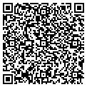 QR code with Solum contacts