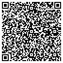 QR code with Pristine Dental Lab contacts