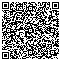QR code with Nelson contacts