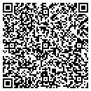 QR code with Chestnut David M CPA contacts