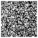 QR code with Celerity Automation contacts