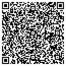 QR code with Premier Machine Automation contacts