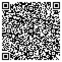 QR code with Disc Junkee contacts
