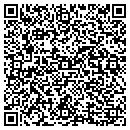 QR code with Colonial Irrigation contacts