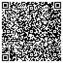 QR code with Premier Dental Arts contacts