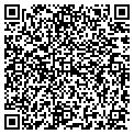 QR code with Mapex contacts
