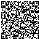 QR code with Psi Design Inc contacts