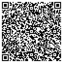 QR code with Process Automation Inc contacts