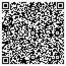 QR code with Blue Ridge Automation contacts
