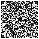 QR code with Progressive Ae contacts