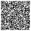 QR code with M Salon contacts