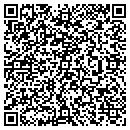 QR code with Cynthia A Greene Cpa contacts