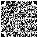 QR code with Purtill & Company, PC contacts