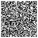 QR code with Pyne Michael J CPA contacts