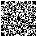 QR code with Choo Osada & Lee Inc contacts