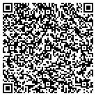 QR code with Christine J Theis Cpa LLC contacts