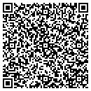 QR code with Pyramid Alloys Inc contacts