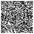 QR code with Pvi Products contacts