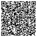 QR code with Gawk LLC contacts