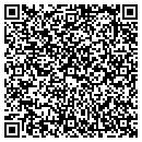 QR code with Pumping Systems Inc contacts