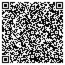 QR code with Ps Gegen Consulting contacts