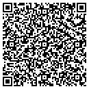 QR code with Pumps & Equipment contacts