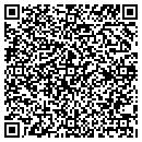 QR code with Pure Fabrication Inc contacts
