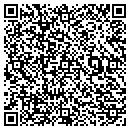 QR code with Chryslin Enterprises contacts