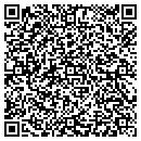 QR code with Cubi Consulting Inc contacts