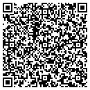 QR code with Publius Research contacts