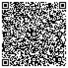 QR code with Pupil Transportation Consultants LLC contacts