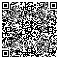 QR code with Z Gear contacts