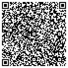 QR code with Bluestem Interactive Inc contacts