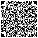 QR code with Cactus Springs Conslt contacts