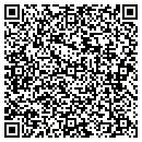 QR code with Baddolphin Consulting contacts